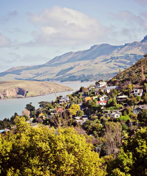 Specialty coffee in Christchurch
