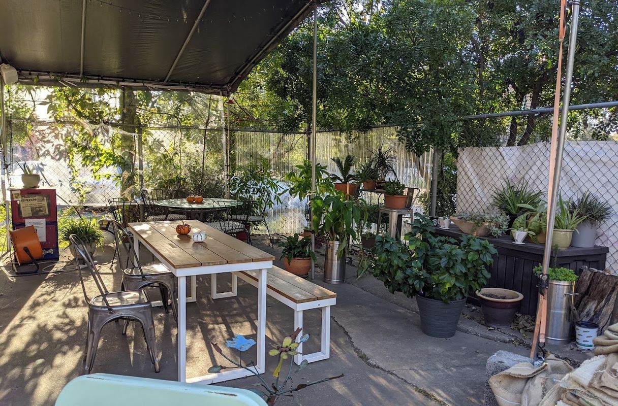 Texas Coffee Traders Cafe — specialty coffee shop in Austin, TX