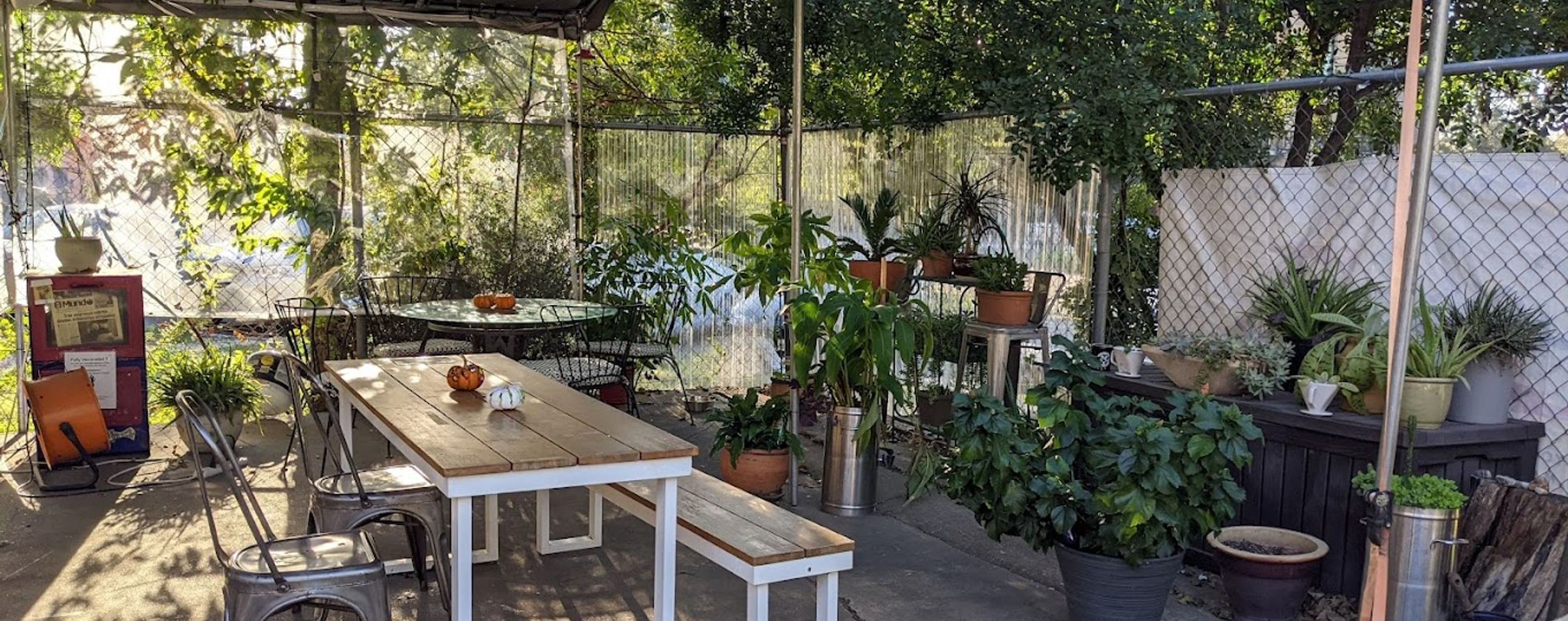 Texas Coffee Traders Cafe — specialty coffee shop in Austin, TX