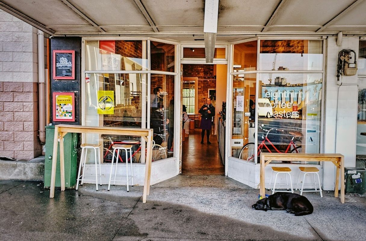 Open Coffee — specialty coffee shop in Auckland