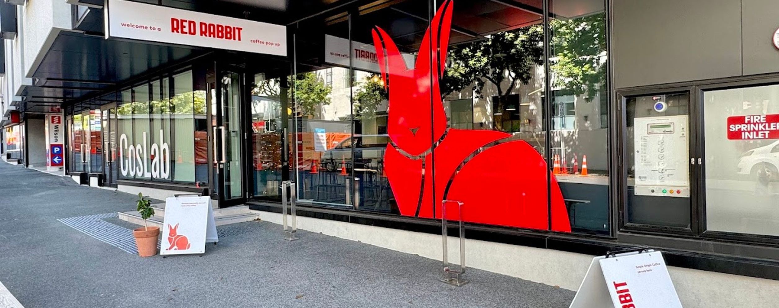 Red Rabbit Coffee Parnell — specialty coffee shop in Auckland