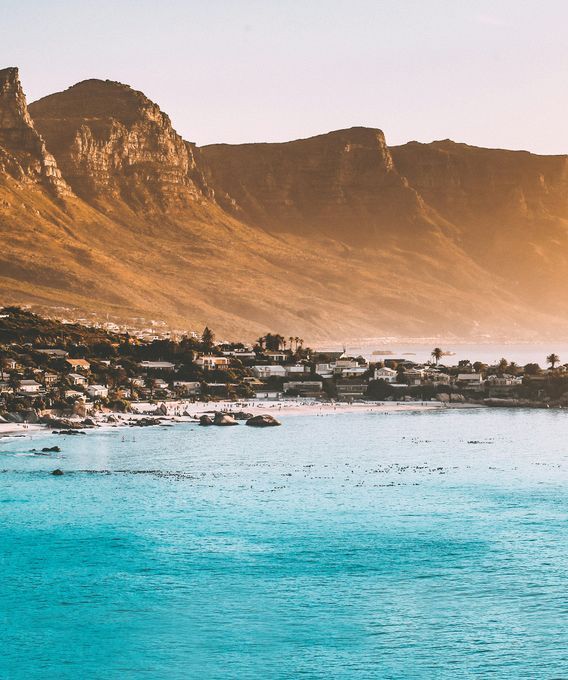 Specialty coffee in Cape Town