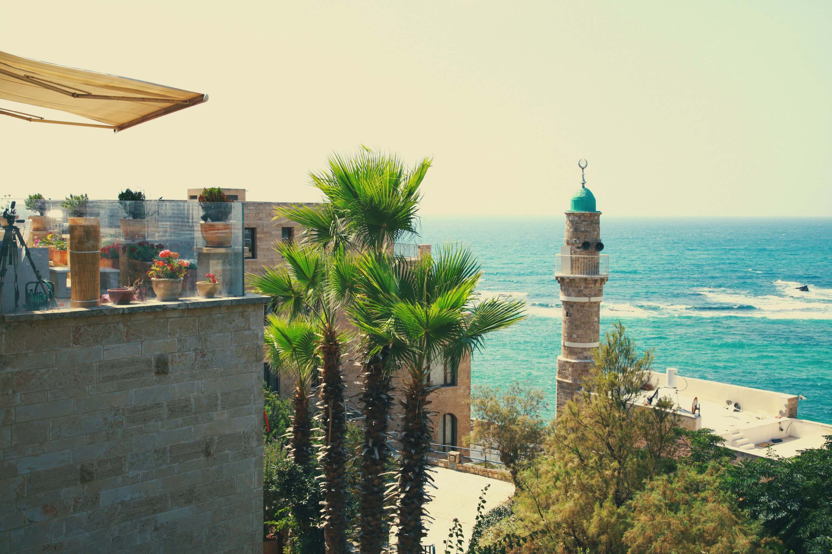 Specialty coffee in Tel Aviv
